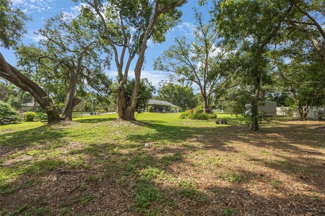 5933 Carina Trce, Wesley Chapel, FL 33545 - photo 42