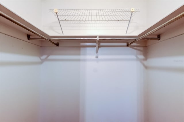 2932 Lichen Ln Unit D, Clearwater, FL 33760 - view of spacious closet