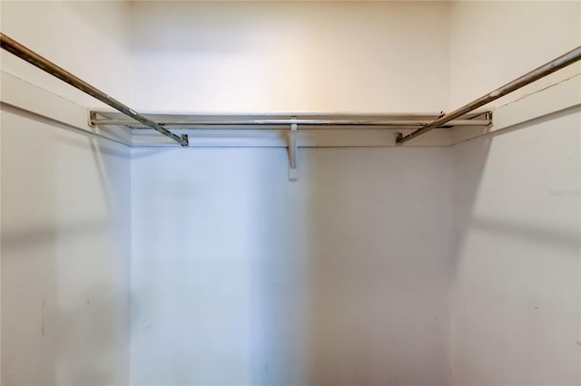2932 Lichen Ln Unit D, Clearwater, FL 33760 - view of walk in closet