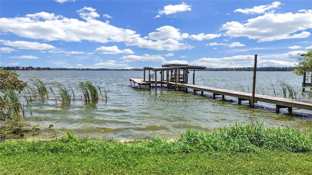11337 Knights Griffin Rd, Thonotosassa, FL 33592 - photo 4