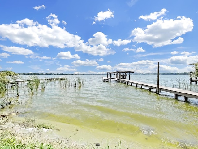 11337 Knights Griffin Rd, Thonotosassa, FL 33592 - photo 38