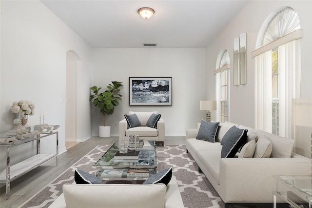 239 Beacon Pointe Dr, Ocoee, FL 34761 - living room featuring arched walkways, wood finished floors, and a textured ceiling