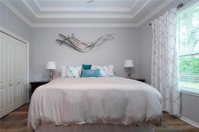 2121 Worthington Greens Dr, Sun City Center, FL 33573 - bedroom with a raised ceiling, dark wood-style floors, and a closet