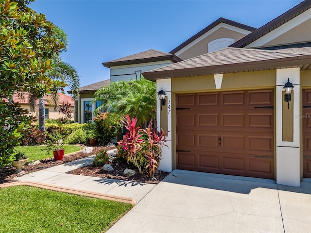 347 Cockle Shell Loop, Apollo Beach, FL 33572 - view of front facade featuring concrete driveway, stucco siding, a garage, and a shingled roof