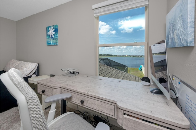 11320 Chilly Water Ct, Riverview, FL 33569 - home office with a water view