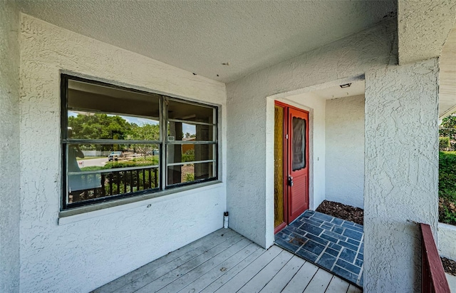 1648 Concord St, Dunedin, FL 34698 - doorway to property featuring stucco siding