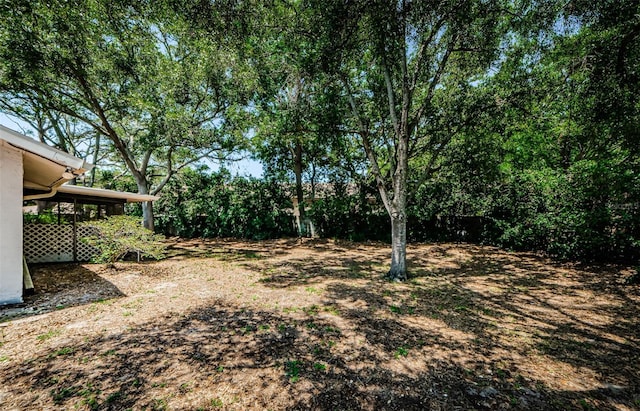 1648 Concord St, Dunedin, FL 34698 - view of yard