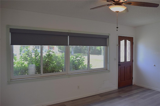 1665 Grove St, Clearwater, FL 33755 - photo 5