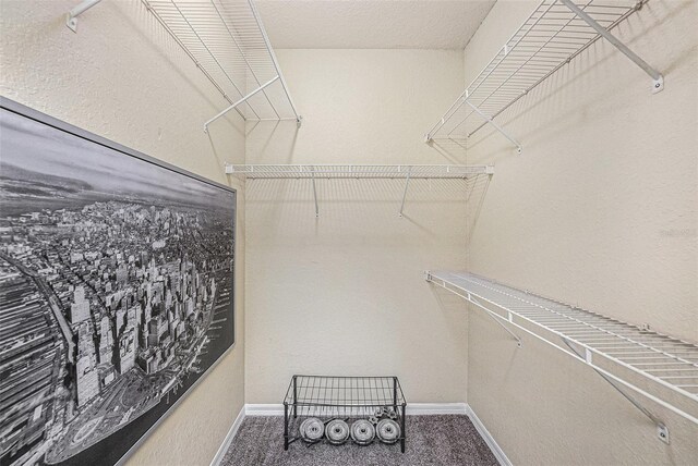 4221 W Spruce St Unit 2104, Tampa, FL 33607 - walk in closet with carpet floors