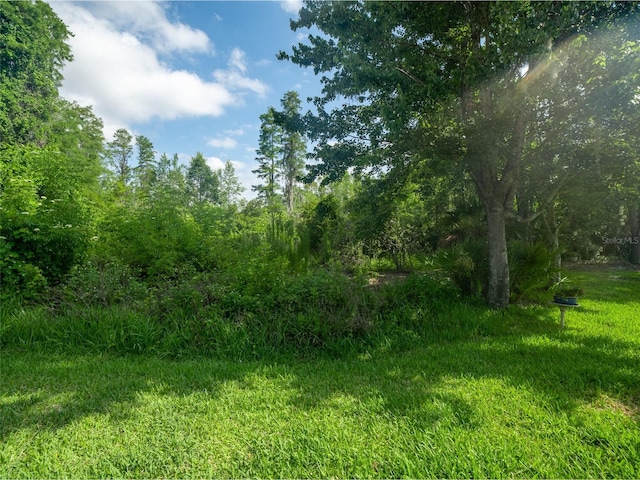 31201 Shaker Cir, Wesley Chapel, FL 33543 - view of nature