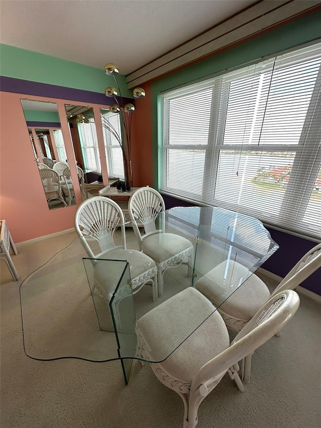 5220 Brittany Dr S Unit 1306, Saint Petersburg, FL 33715 - dining room with baseboards and carpet flooring