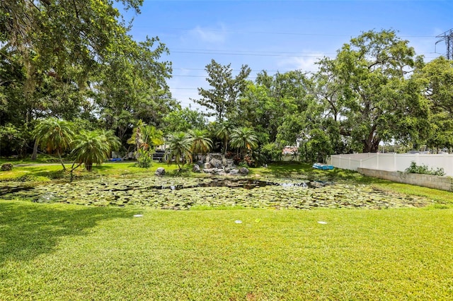 2174 62nd St N, Clearwater, FL 33760 - view of yard