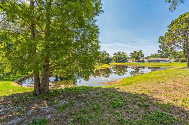 12838 Tallowood Dr, Riverview, FL 33579 - water view