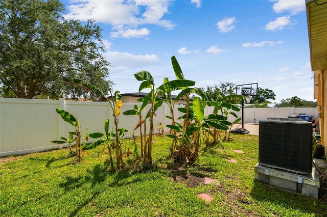 4400 Helena St NE, Saint Petersburg, FL 33703 - view of yard with central AC