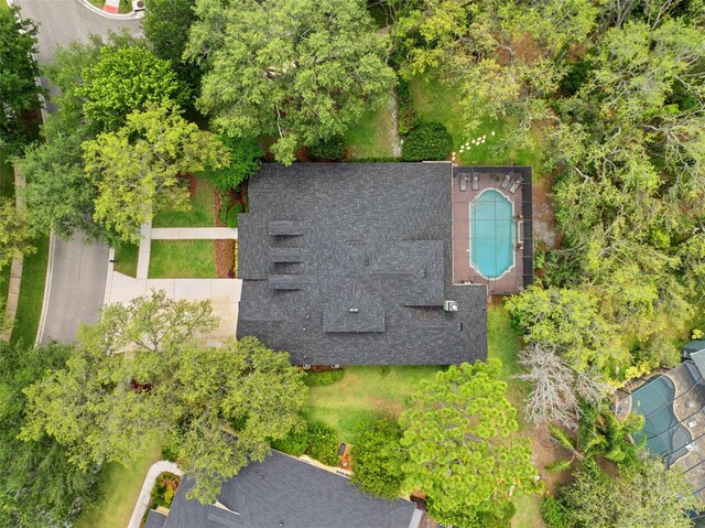16039 Ternglade Dr, Lithia, FL 33547 - view from above of property