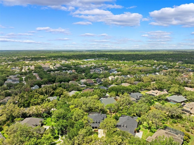16039 Ternglade Dr, Lithia, FL 33547 - aerial view of residential area