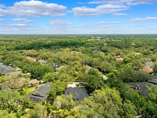 16039 Ternglade Dr, Lithia, FL 33547 - aerial perspective of suburban area featuring a heavily wooded area