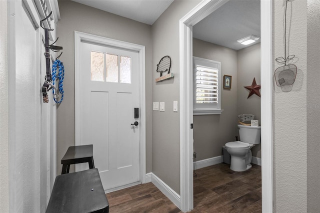 12090 Thames Ave, Weeki Wachee, FL 34614 - foyer entrance featuring healthy amount of natural light, dark wood-style flooring, and baseboards