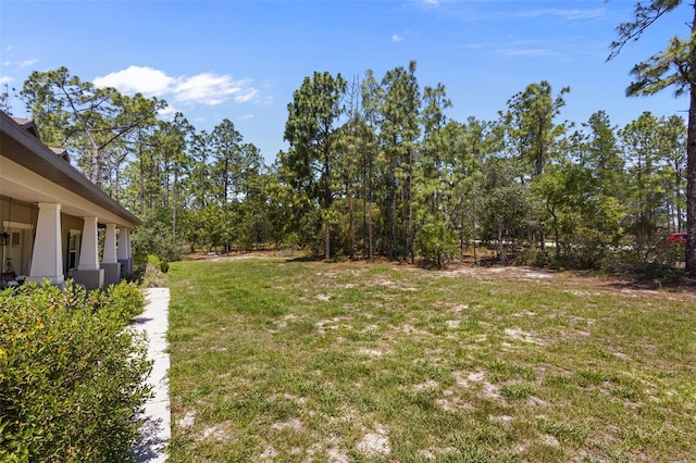 12090 Thames Ave, Weeki Wachee, FL 34614 - view of green lawn
