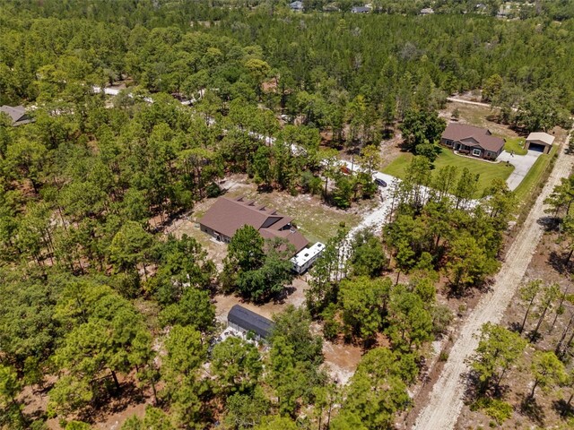 12090 Thames Ave, Weeki Wachee, FL 34614 - view of property location featuring a heavily wooded area