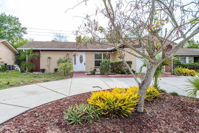 10841 Casa Grande Ave, Port Richey, FL 34668 - ranch-style house with stucco siding, central AC, and roof with shingles