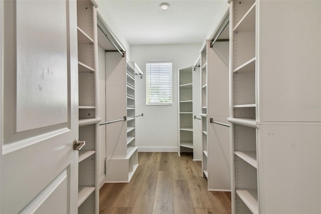 17589 Cruiser Bnd, Land O Lakes, FL 34638 - walk in closet featuring wood finished floors