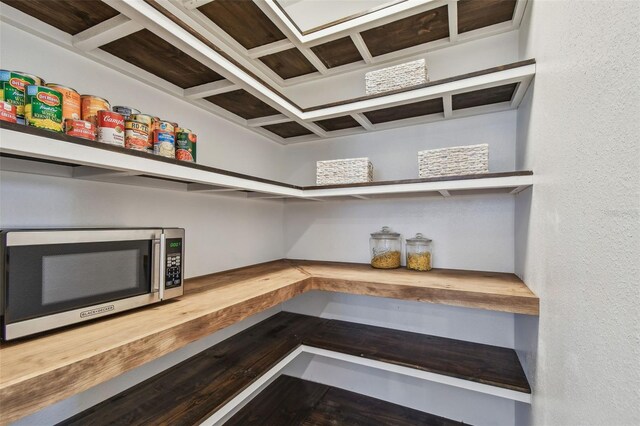 17589 Cruiser Bnd, Land O Lakes, FL 34638 - view of pantry
