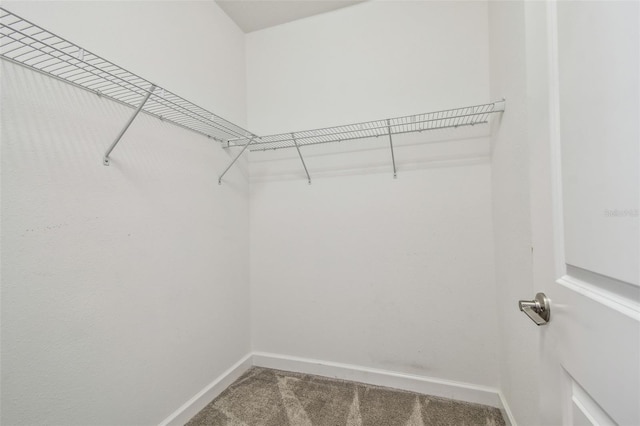 17589 Cruiser Bnd, Land O Lakes, FL 34638 - spacious closet featuring carpet flooring