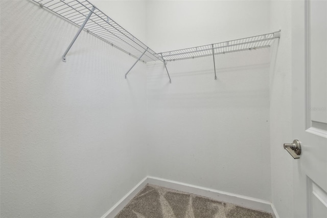 17589 Cruiser Bnd, Land O Lakes, FL 34638 - walk in closet featuring carpet