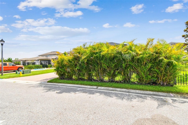 17589 Cruiser Bnd, Land O Lakes, FL 34638 - view of front of property