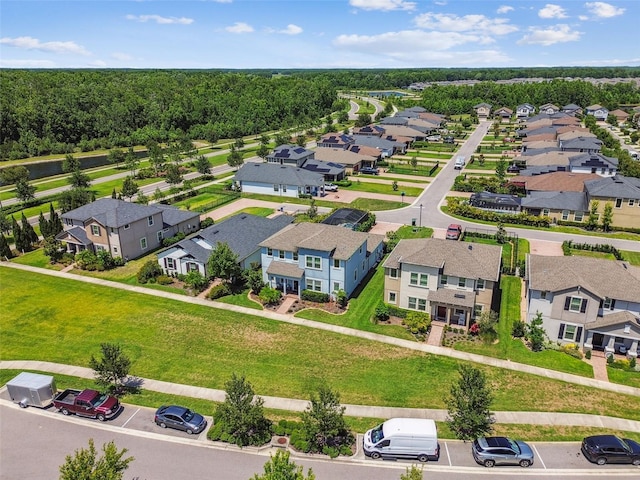 17589 Cruiser Bnd, Land O Lakes, FL 34638 - aerial view of residential area