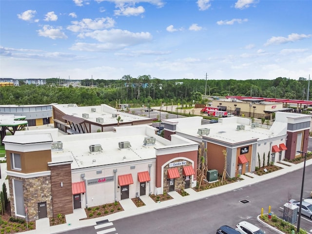 17589 Cruiser Bnd, Land O Lakes, FL 34638 - bird's eye view