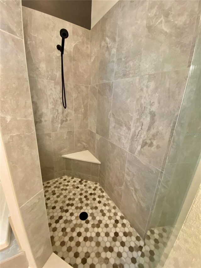 4808 Jewell Ter, Palm Harbor, FL 34685 - full bath with tiled shower