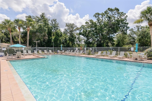 6334 Spring Flower Dr Unit 24, New Port Richey, FL 34653 - community pool with view of wooded area