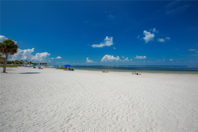 6334 Spring Flower Dr Unit 24, New Port Richey, FL 34653 - water view featuring local beach