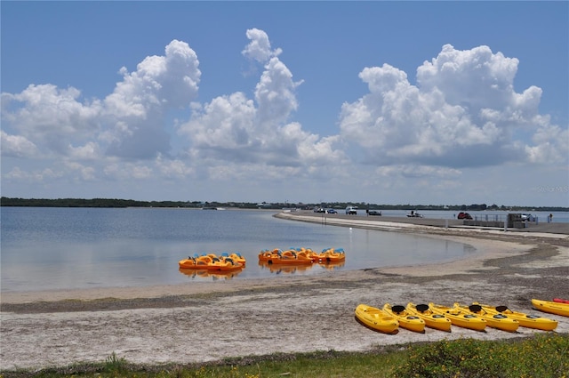 6334 Spring Flower Dr Unit 24, New Port Richey, FL 34653 - water view