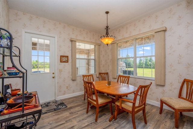 14365 Evans Ranch Rd, Lakeland, FL 33809 - dining area with healthy amount of natural light, wood finished floors, and baseboards