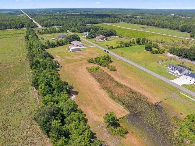 14365 Evans Ranch Rd, Lakeland, FL 33809 - overview of rural landscape