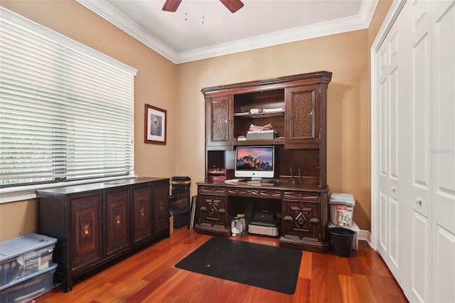 3404 W Sevilla St, Tampa, FL 33629 - photo 23