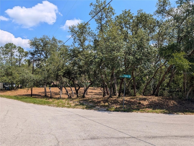 0 Merlin Cir, Dade City, FL 33523