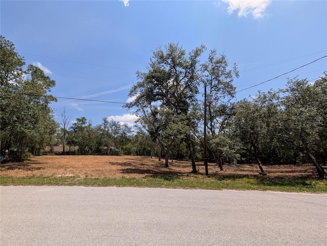 0 Merlin Cir, Dade City, FL 33523