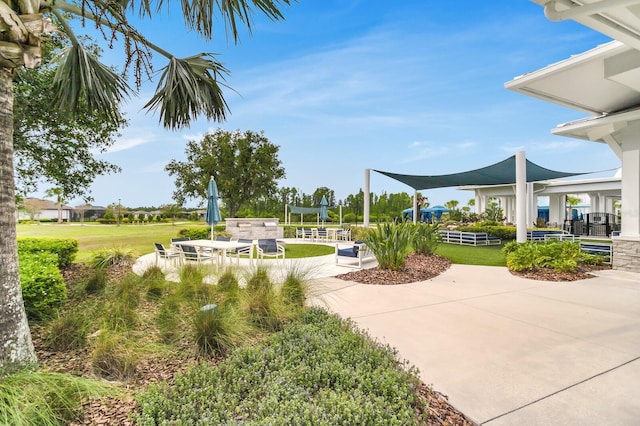 19652 Ship Wheel Way, Land O Lakes, FL 34638 - photo 52