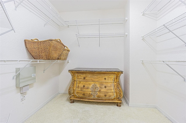 350 2nd St N Unit 1, Saint Petersburg, FL 33701 - view of spacious closet