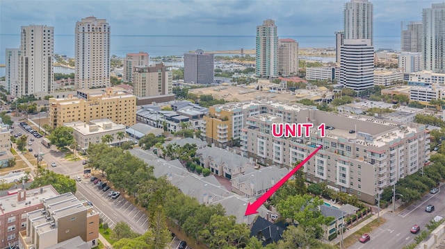 350 2nd St N Unit 1, Saint Petersburg, FL 33701 - city view with a nearby body of water