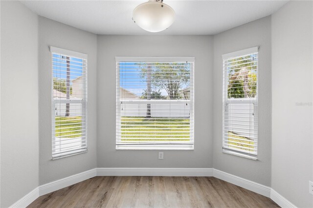 4852 Trinidad Dr, Land O Lakes, FL 34639 - unfurnished room featuring healthy amount of natural light, wood finished floors, and baseboards