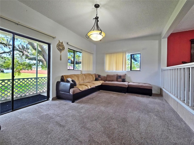 12701 N 57th St -, Unit Tampa, FL 33617 - carpeted living room with plenty of natural light and a textured ceiling