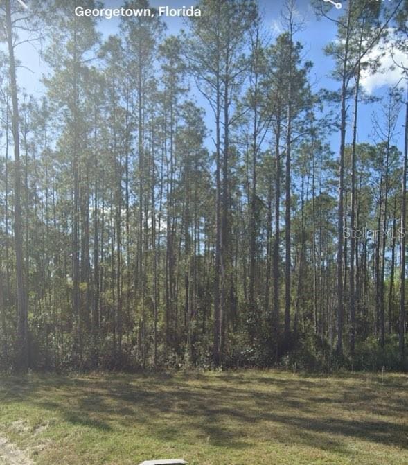 125 Pine Cone Dr, Georgetown, FL 32139