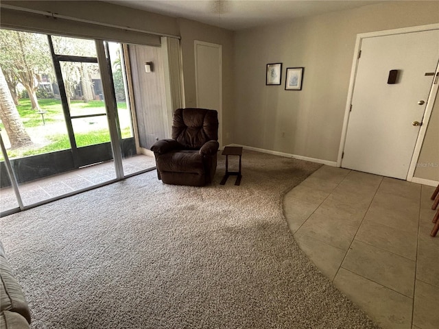 3814 N Lake Dr Unit 65, Tampa, FL 33614 - sitting room with carpet floors, baseboards, and tile patterned floors