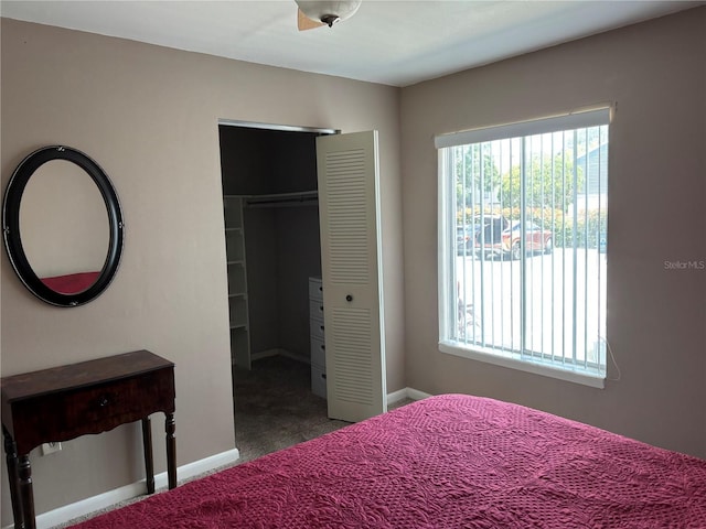 3814 N Lake Dr Unit 65, Tampa, FL 33614 - bedroom with carpet floors, a closet, and baseboards