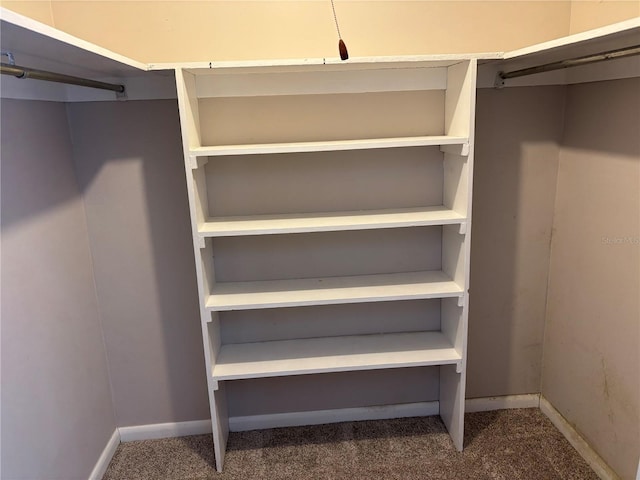 3814 N Lake Dr Unit 65, Tampa, FL 33614 - spacious closet featuring carpet